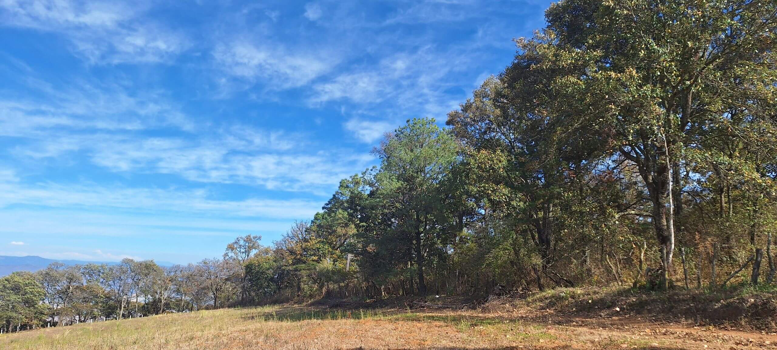 Venta de Terrenos en Tapalpa