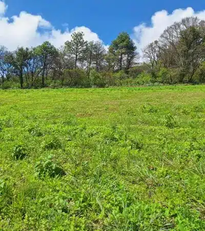 Desarrollo Vista Hermosa en Temporada de lluvia | Terrenos únicos en Tapalpa