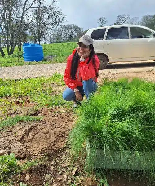 Rosa reforestando en Vista Hermosa | Terrenos únicos en Tapalpa